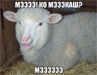 Мээээ! Ко мэээкаш? Мээээээ