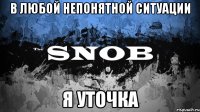 В любой непонятной ситуации Я уточка