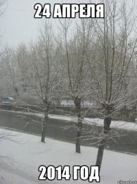 24 апреля 2014 год