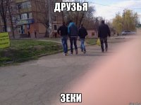 ДРУЗЬЯ ЗЕКИ