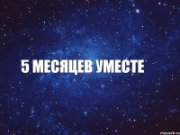 5 месяцев уместе