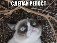 сделай репост 