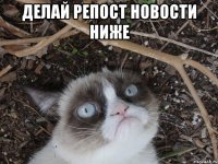 делай репост новости ниже 