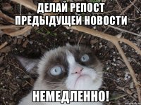 делай репост предыдущей новости немедленно!