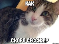 как скоро сессия!?