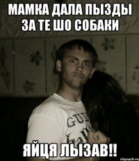 МАМКА ДАЛА ПЫЗДЫ ЗА ТЕ ШО СОБАКИ ЯЙЦЯ ЛЫЗАВ!!