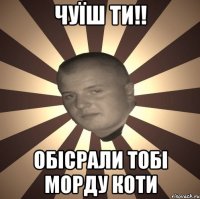 чуїш ти!! ОБІСРАЛИ тобі морду коти