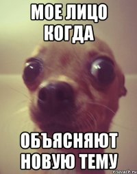 мое лицо когда объясняют новую тему