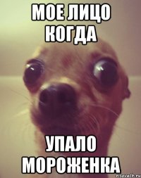 мое лицо когда упало мороженка