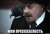  моя прееееееелесть
