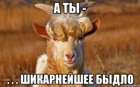 а ты - . . . шикарнейшее быдло