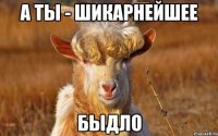а ты - шикарнейшее быдло