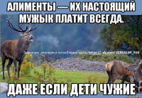 Алименты — их настоящий мужык платит всегда. Даже если дети чужие