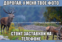 Дорогая, у меня твое фото стоит заставкой на телефоне
