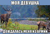моя девушка дождалась меня из армии
