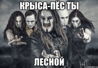 КРЫСА-ПЁС ТЫ ЛЕСНОЙ