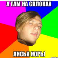 а там на склонах лисьи норы