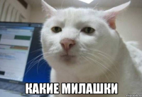  какие милашки
