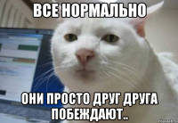 все нормально они просто друг друга побеждают..