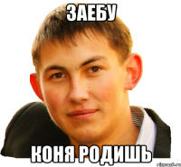 заебу коня родишь
