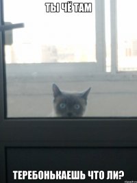 ты чё там теребонькаешь что ли?