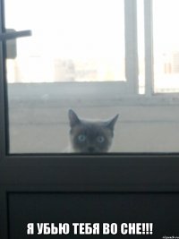  я убью тебя во сне!!!