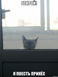 открой! я поесть принёс