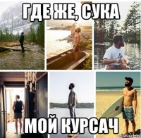 ГДЕ ЖЕ, СУКА МОЙ КУРСАЧ