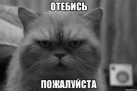 Отебись Пожалуйста
