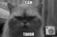 сам такой