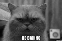  Не важно