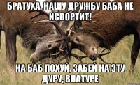 БРАТУХА, НАШУ ДРУЖБУ БАБА НЕ ИСПОРТИТ! НА БАБ ПОХУЙ, ЗАБЕЙ НА ЭТУ ДУРУ, ВНАТУРЕ