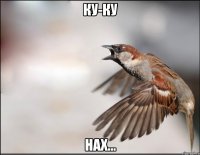 КУ-КУ НАХ...