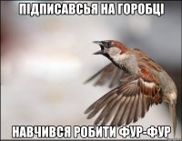 Підписавсья на Горобці Навчився робити фур-фур