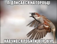 Підписався на Горобці Навчився робити фур фур