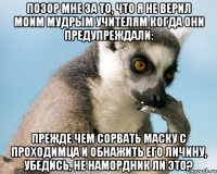 позор мне за то, что я не верил моим мудрым учителям когда они предупреждали: прежде чем сорвать маску с проходимца и обнажить его личину, убедись, не намордник ли это?