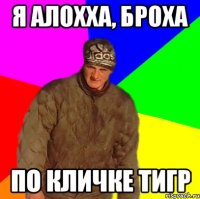 Я Алохха, Броха По кличке ТИГР