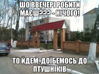 Шо ввечері робити маєш??? - Нічого! То йдем, доїбемось до Птушніків