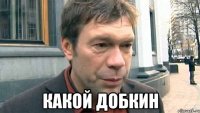  какой добкин