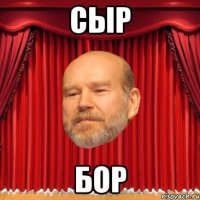 Сыр Бор