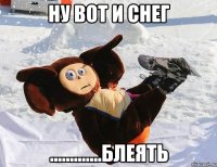 НУ ВОТ И СНЕГ .............БЛЕЯТЬ
