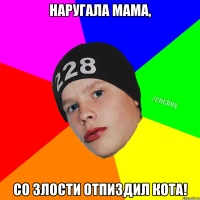 Наругала мама, Со злости отпиздил кота!