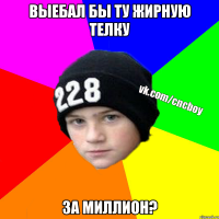 выебал бы ту жирную телку за миллион?