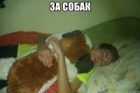 ЗА СОБАК 