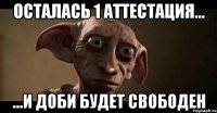 осталась 1 аттестация... ...и Доби будет свободен