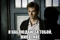  Я НАБЛЮДАЮ ЗА ТОБОЙ, ЖИВОТНОЕ
