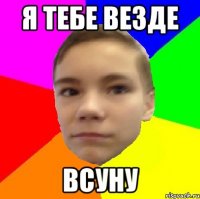 Я тебе везде всуну