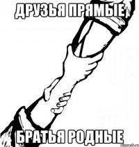Друзья прямые братья родные