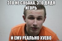 Это не собака, это дядя игорь и ему реально хуево