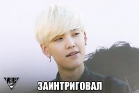  заинтриговал